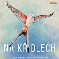 Na křídlech