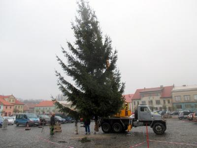 stavba stromu