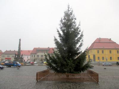 stavba stromu