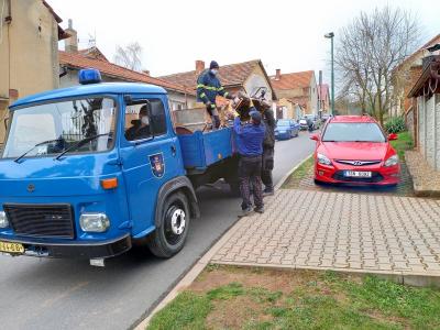 foto ze sběru
