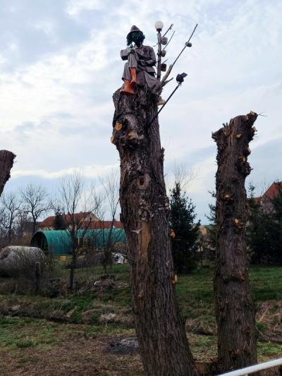 úprava cyklostezky