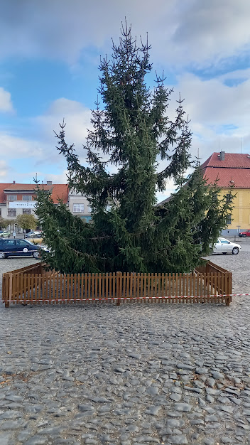 Strom na náměstí