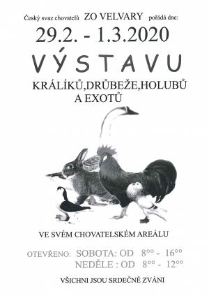 Výstava