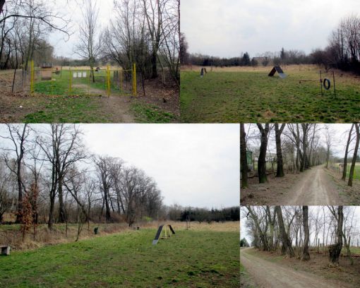 psí park