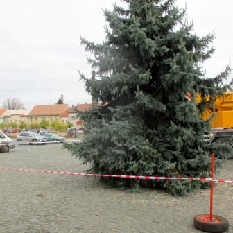 vánoční strom 2023