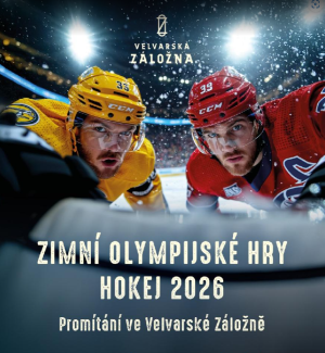 hokej 17.2.2026