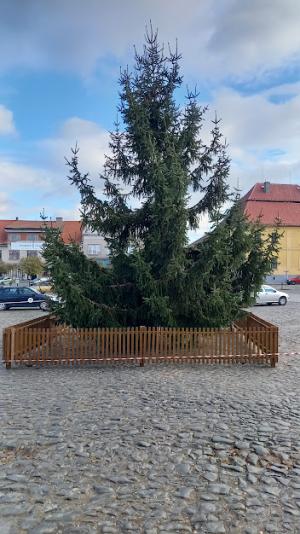 Vánoční strom na náměstí